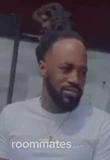 Roommate looking St. Louis, MO, $500