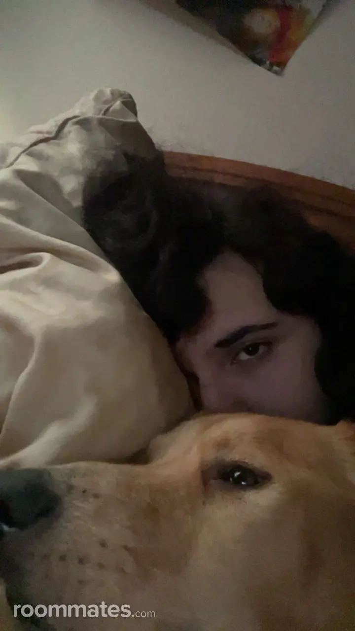 Profile photo 2 of 3