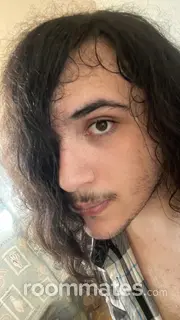 Roommate looking San Tan Valley, AZ, $500