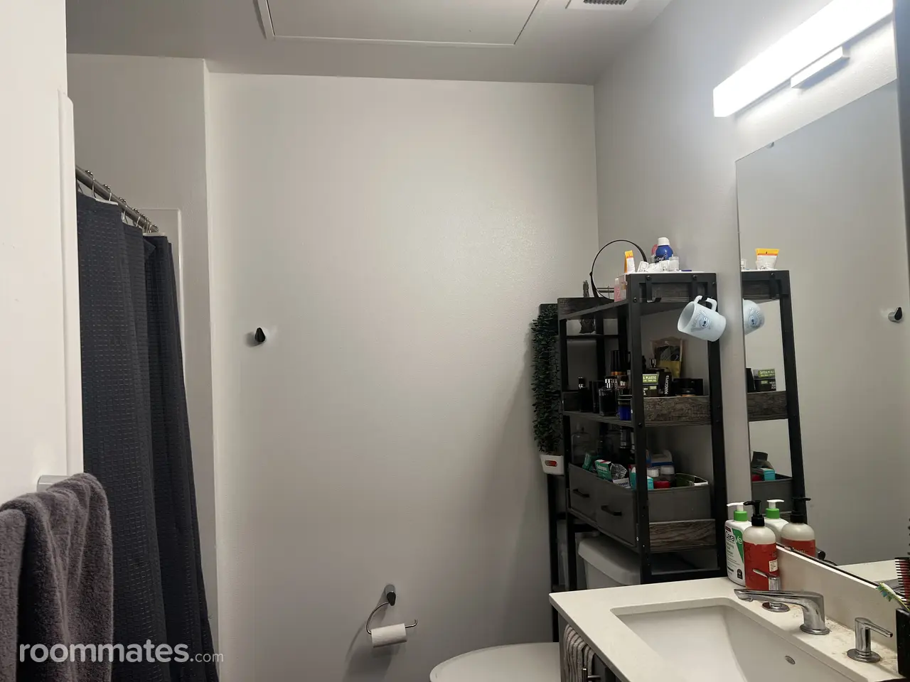 Profile photo 5 of 12