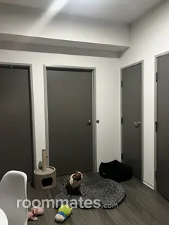 Room for rent in Lynnwood, WA $950, apartment