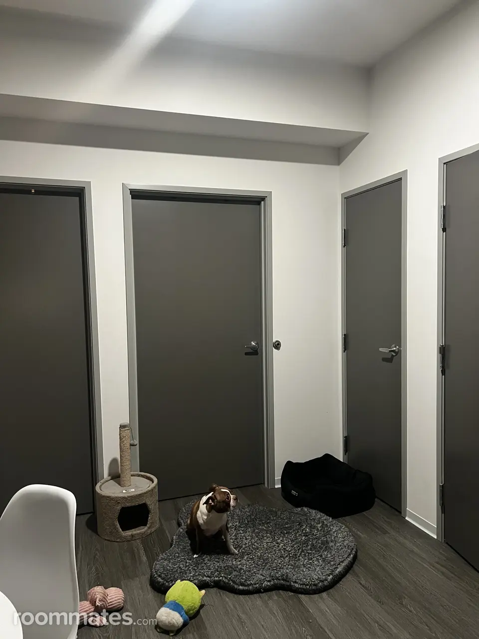 Profile photo 7 of 12