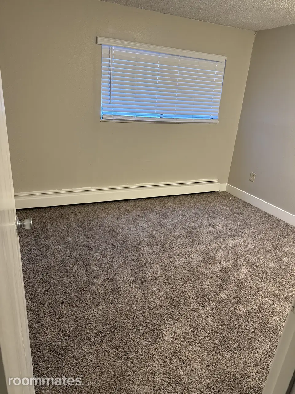 Profile photo 2 of 3