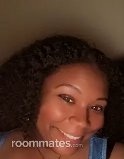 Roommate looking Southgate, MI, $1000