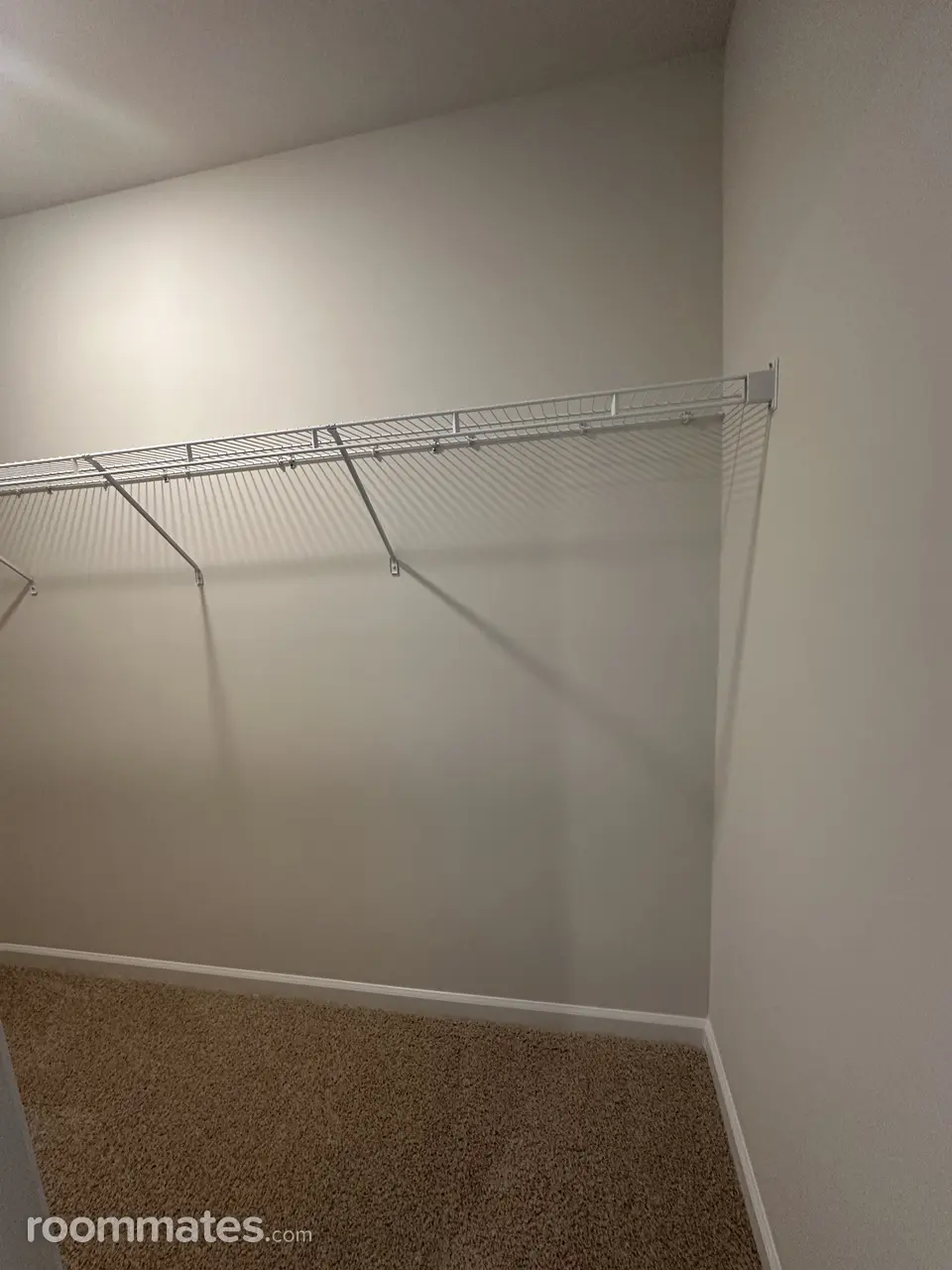 Profile photo 2 of 12