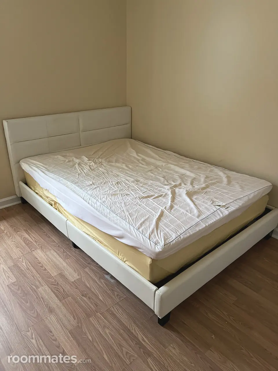 Profile photo 8 of 11