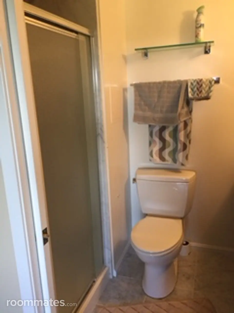 Profile photo 10 of 11