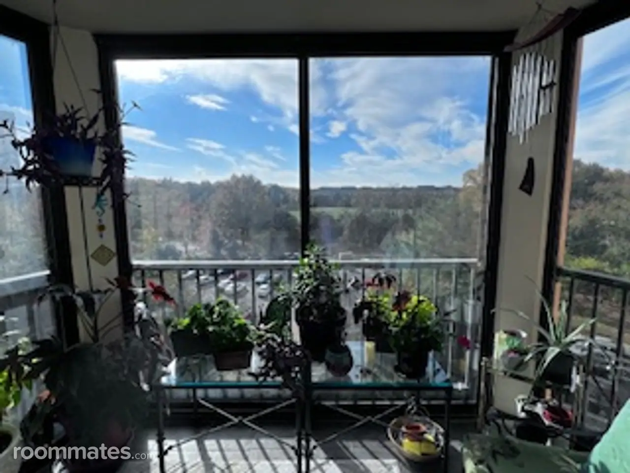 Profile photo 4 of 11