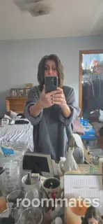 Roommate looking Chicago, IL, $500