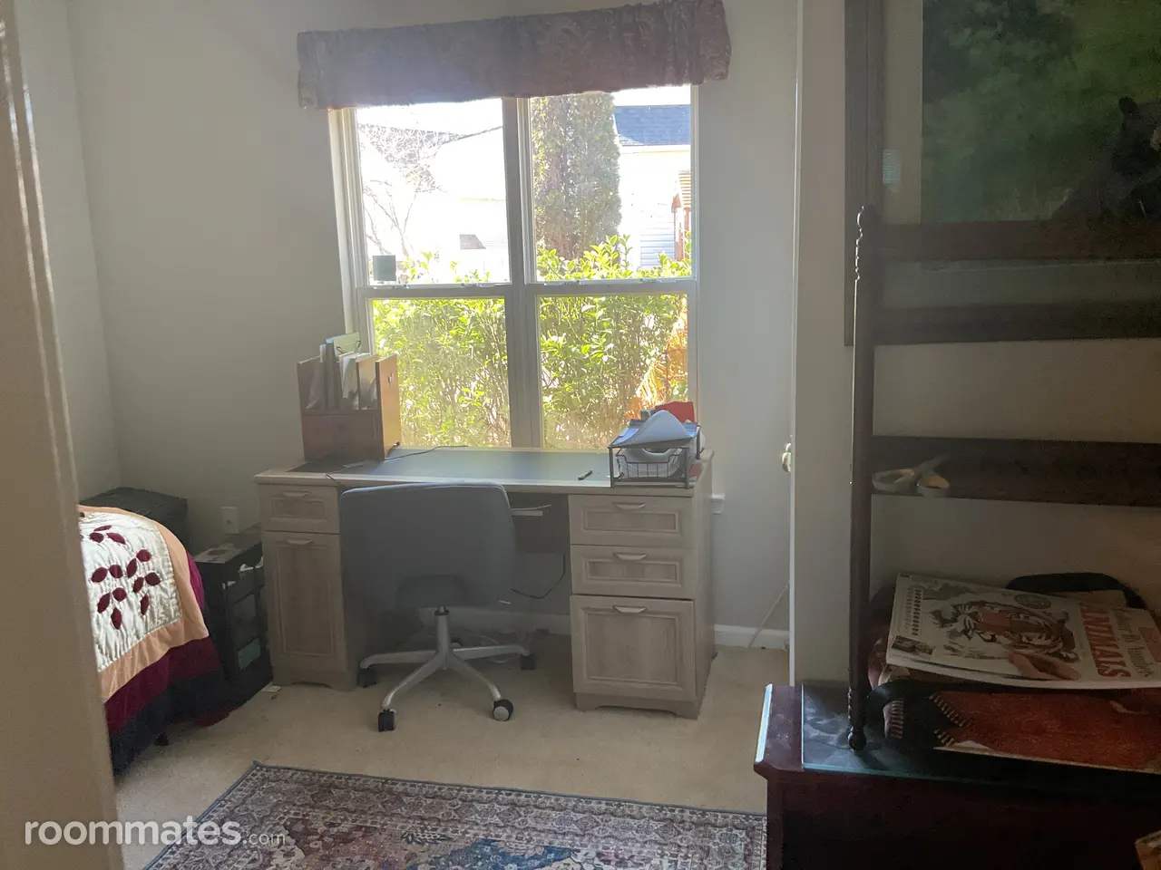 Profile photo 5 of 6