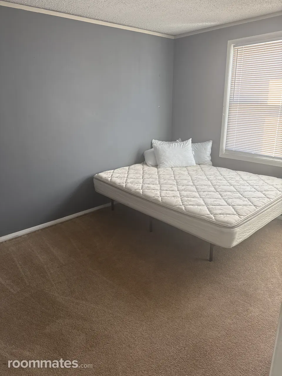 Profile photo 1 of 7