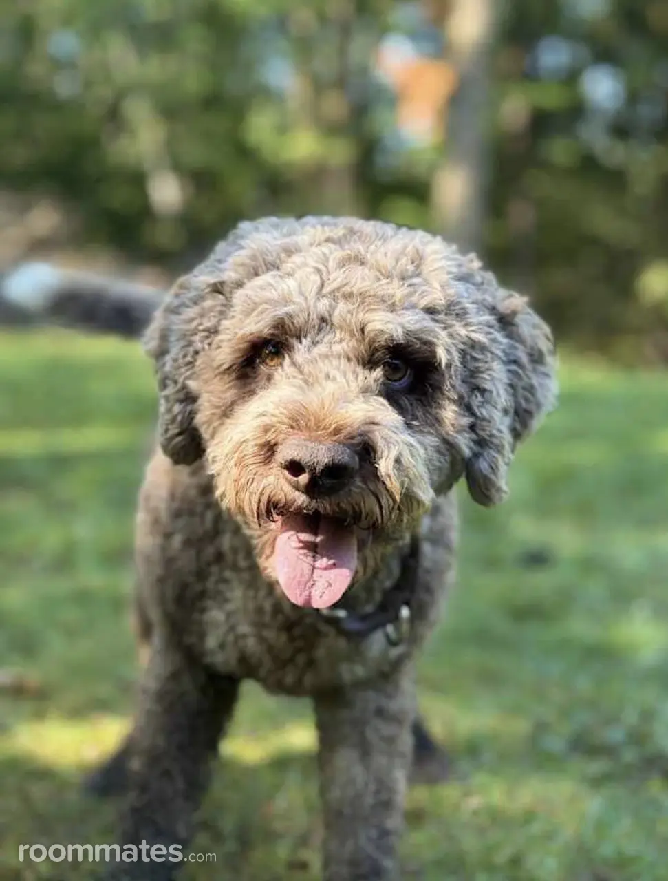 Profile photo 4 of 10