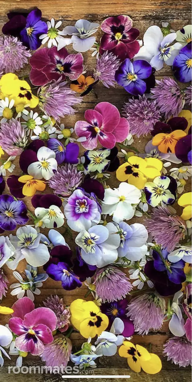 Profile photo 8 of 10