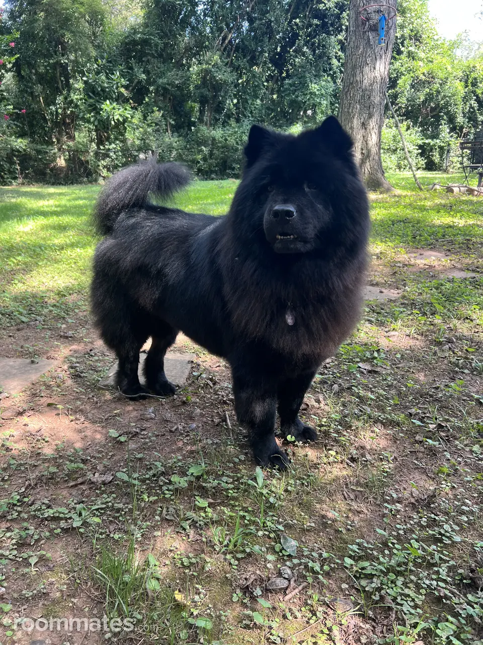 Profile photo 9 of 13