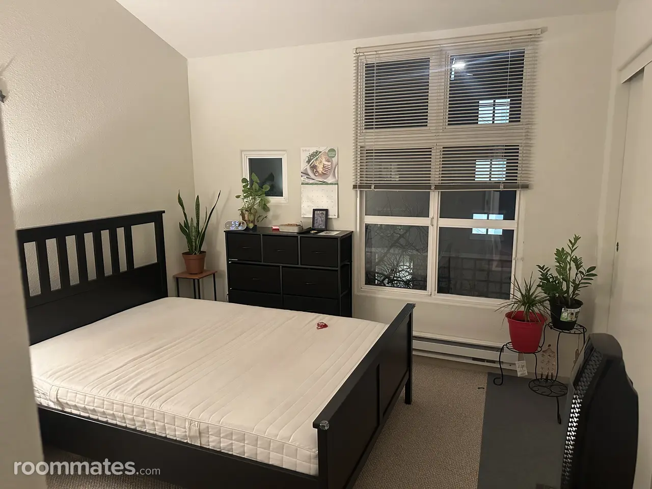 Profile photo 4 of 11