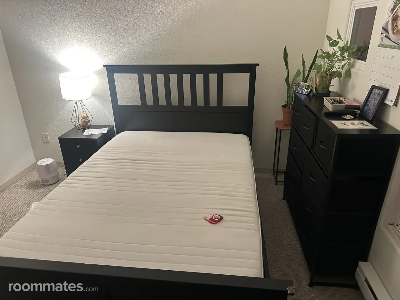 Profile photo 7 of 11