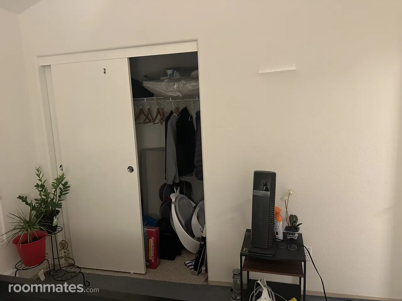 Profile photo 1 of 11