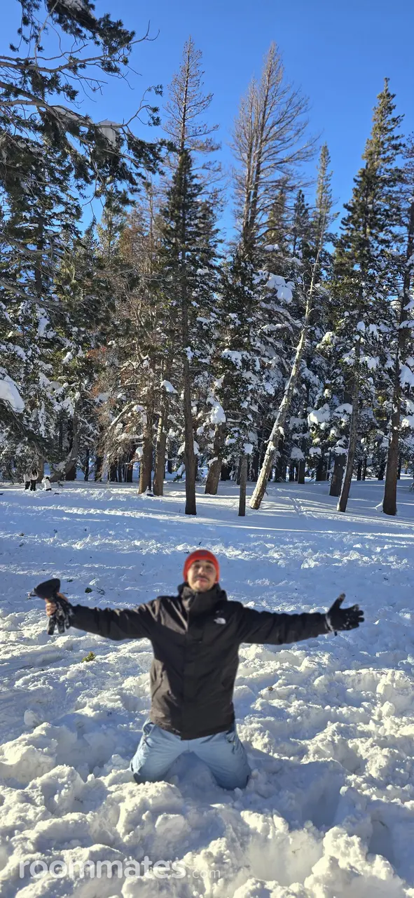 Profile photo 1 of 1