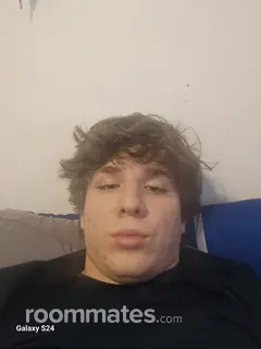 Roommate looking Greenville, SC, $2000