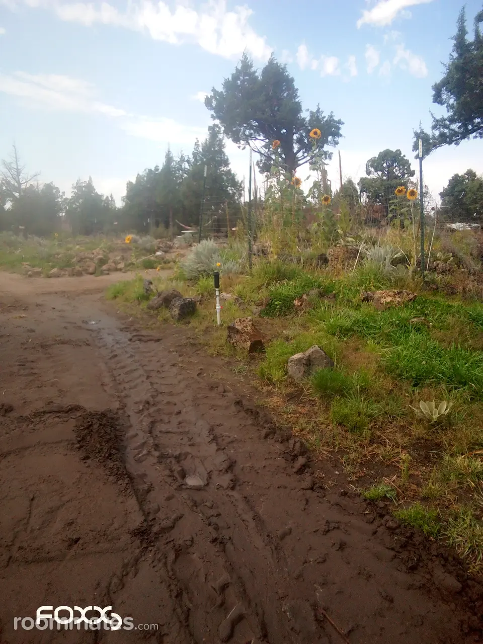 Profile photo 7 of 10