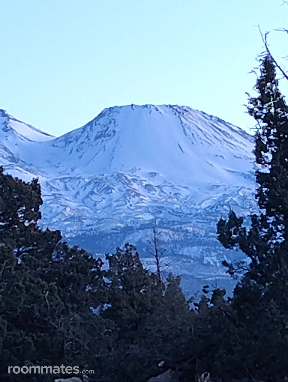 Profile photo 3 of 10