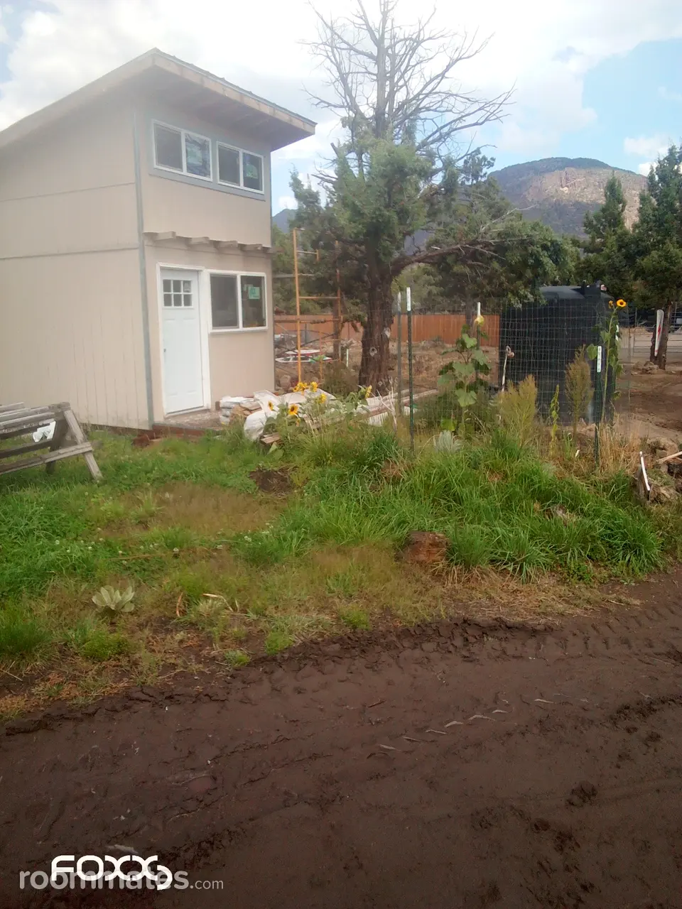 Profile photo 6 of 10