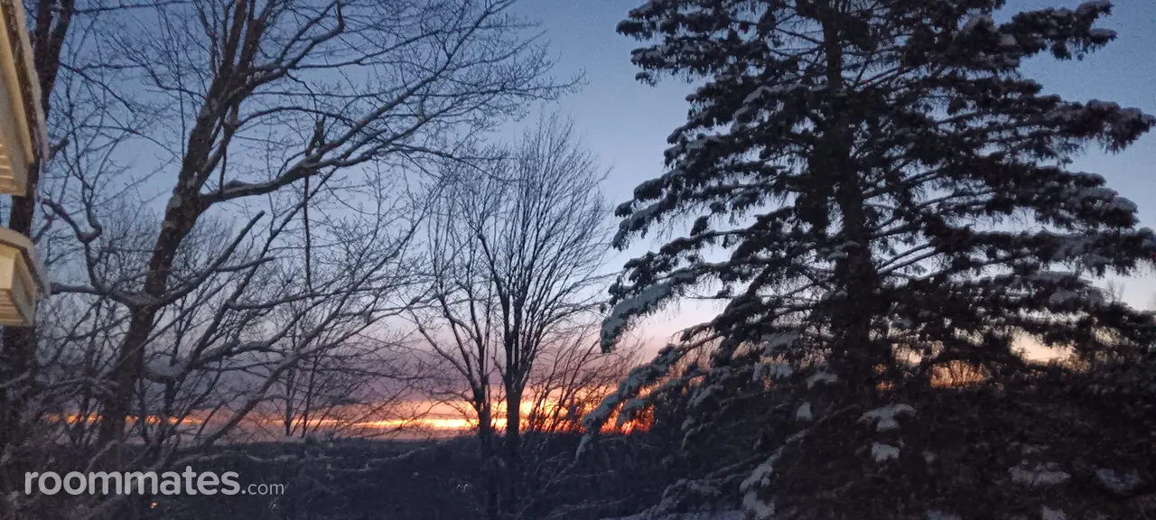 Profile photo 4 of 7