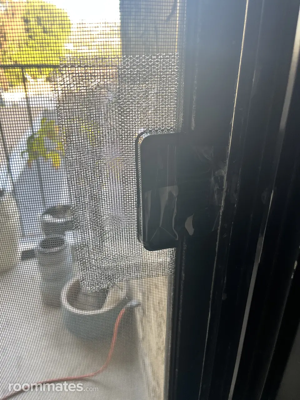 Profile photo 7 of 8