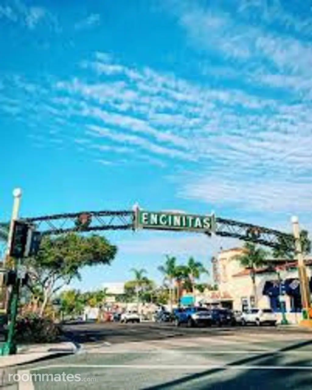 Profile photo 8 of 8