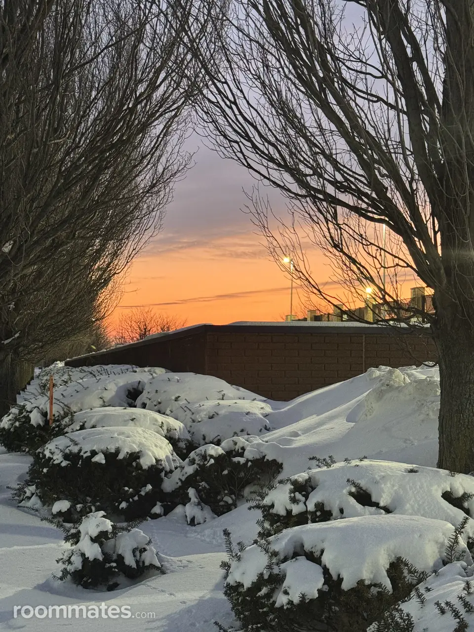 Profile photo 2 of 8