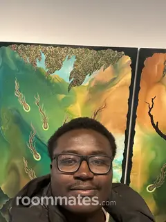 Roommate looking Alexandria, VA, $1500