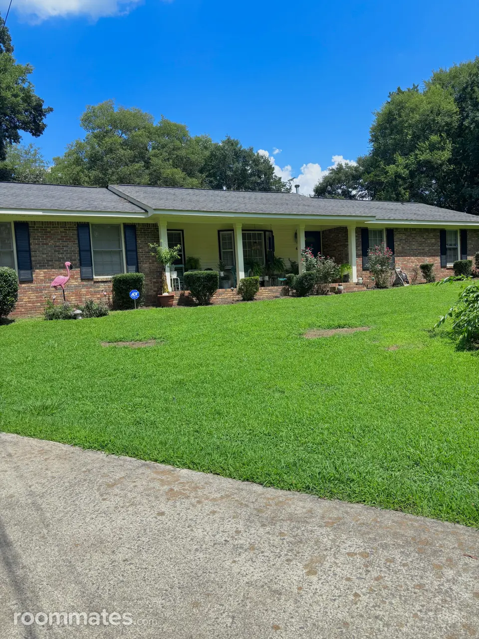 Profile photo 10 of 12