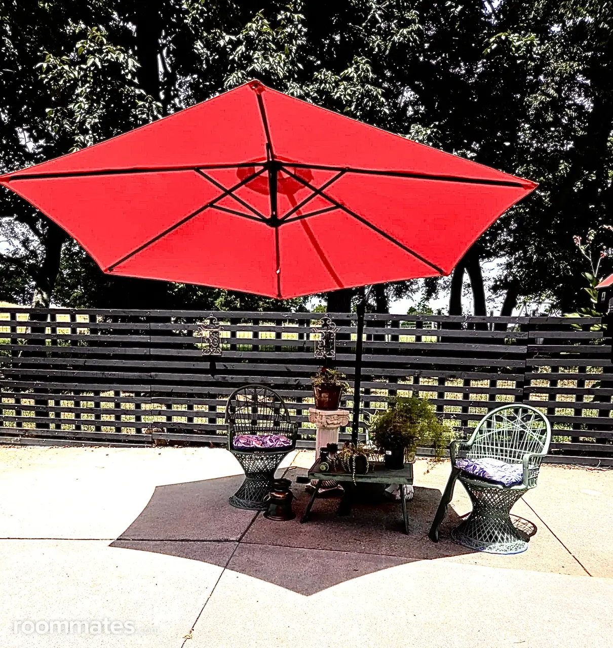 Profile photo 5 of 12