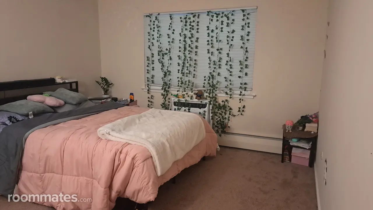 Profile photo 4 of 7