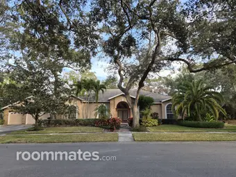 Room for rent in Clearwater, FL $800, house