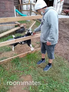 Roommate looking Paterson NJ, $1000