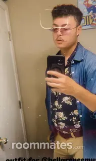 Roommate looking Glendale, AZ, $800