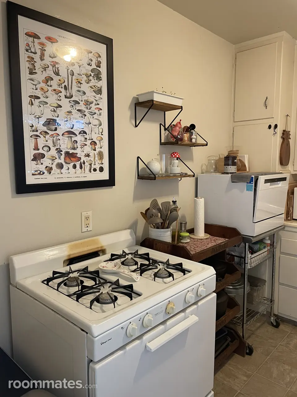 Profile photo 5 of 10