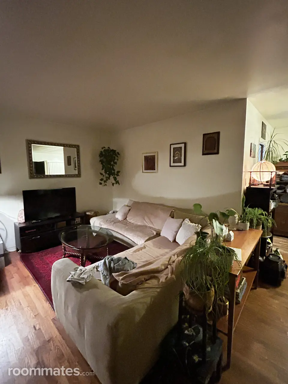 Profile photo 7 of 10