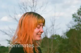 Roommate looking Bloomington, IN, $900