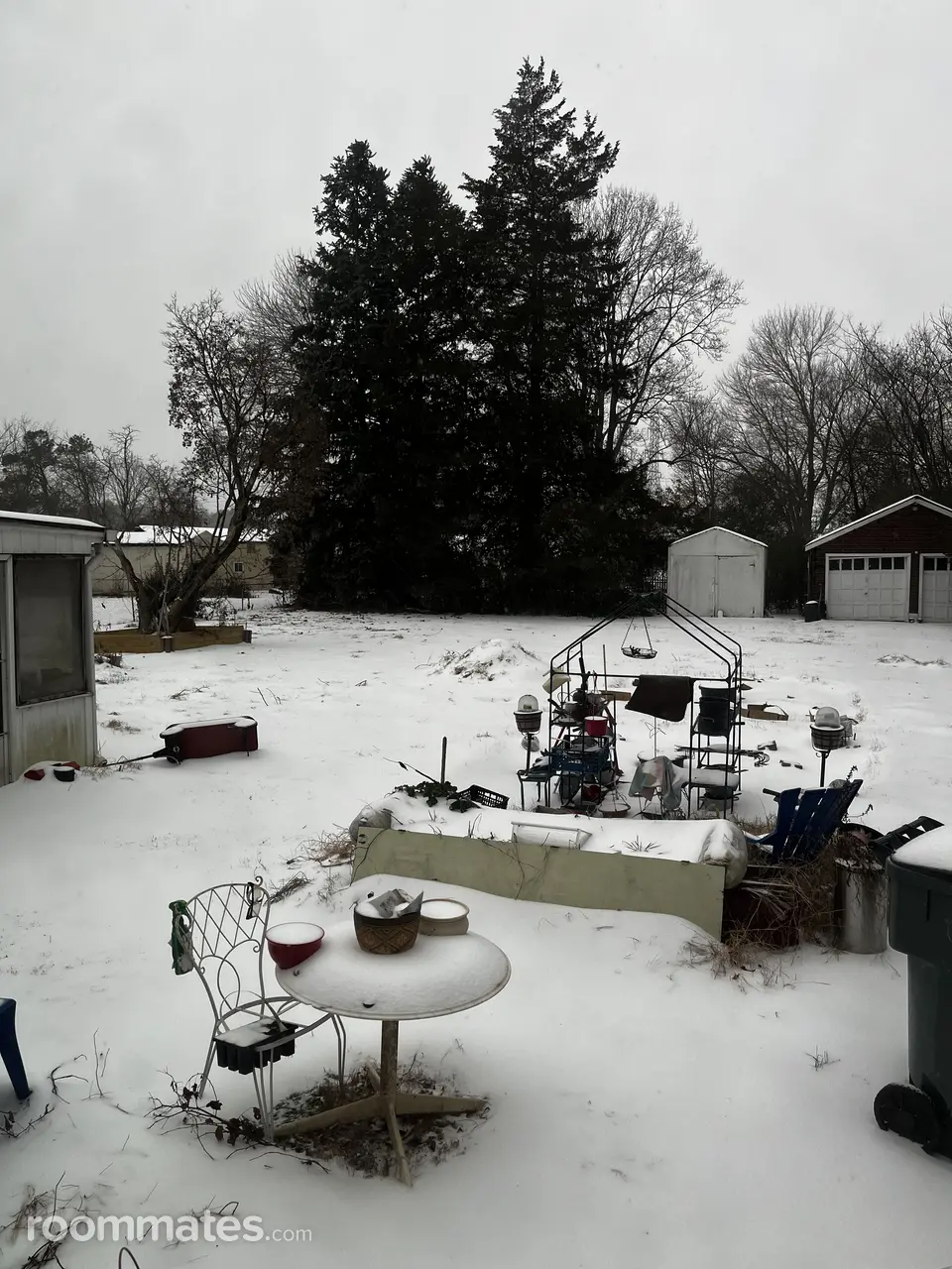 Profile photo 2 of 4