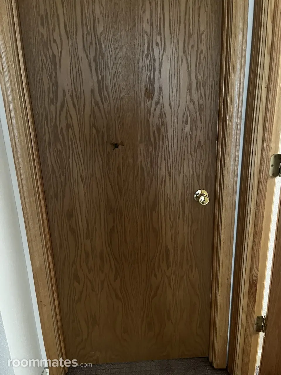 Profile photo 8 of 11