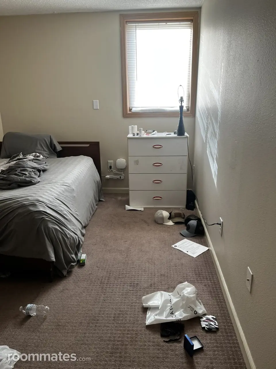 Profile photo 9 of 11