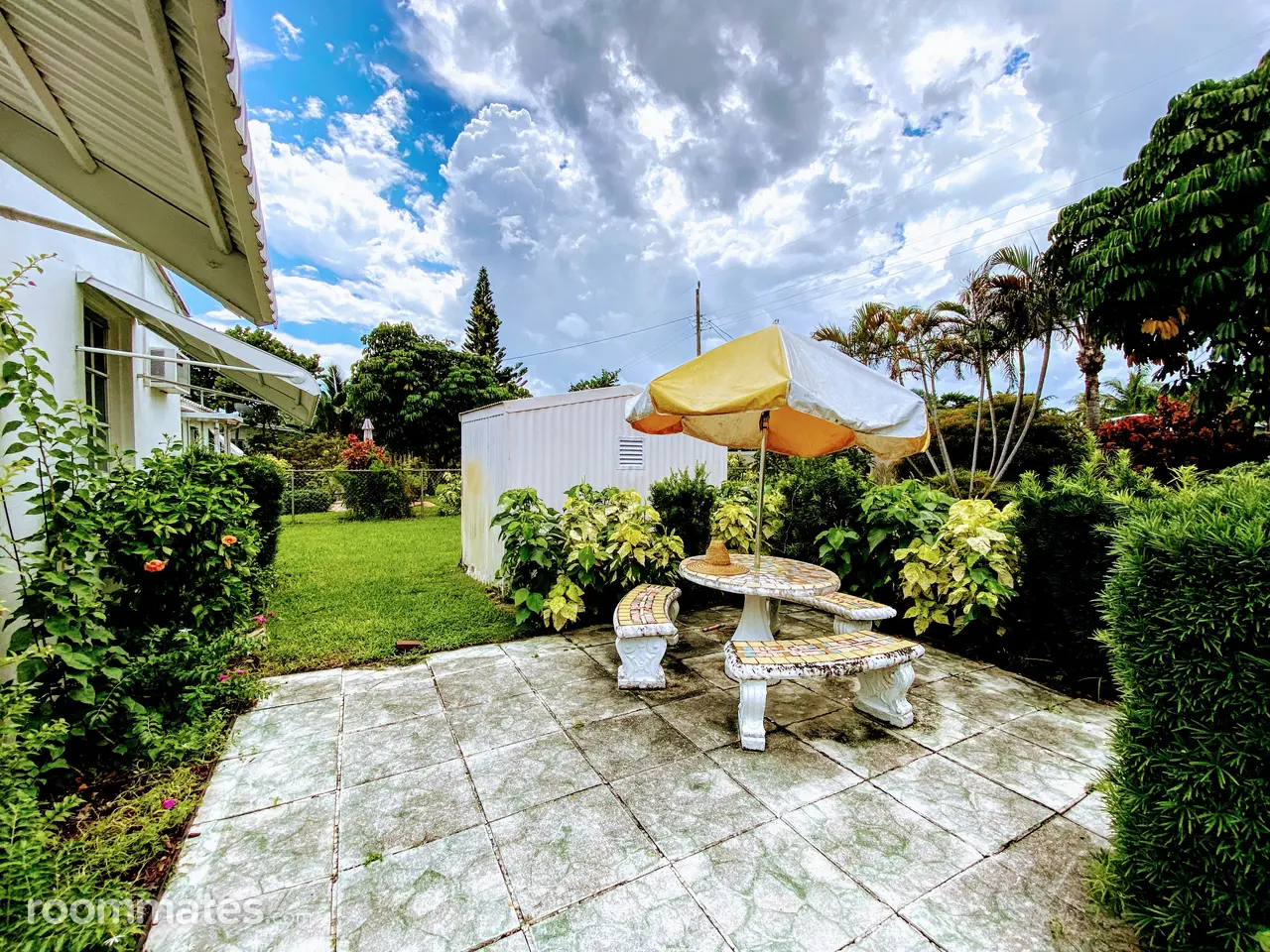 Profile photo 7 of 8