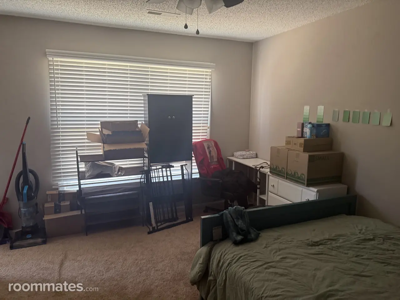 Profile photo 6 of 13