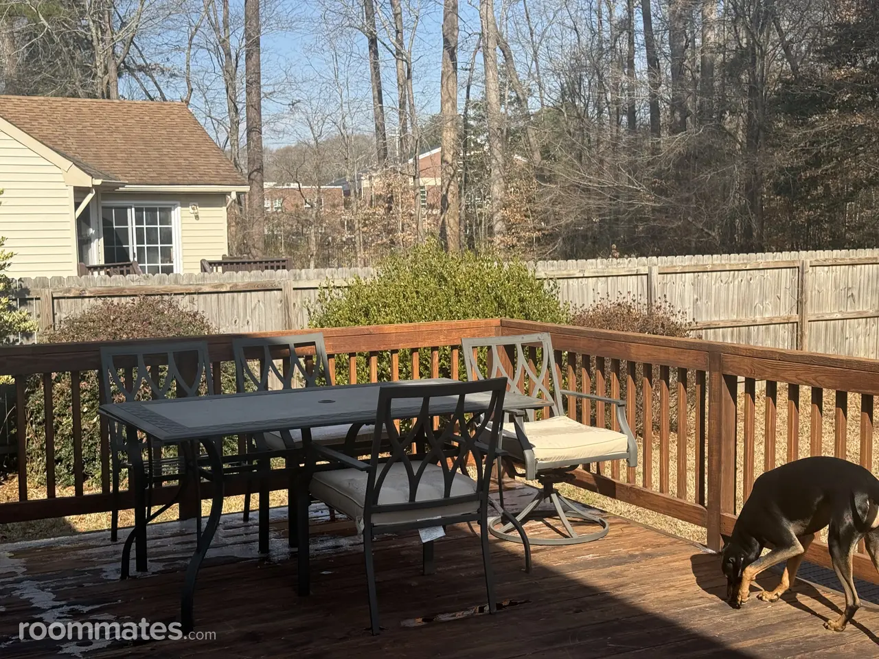 Profile photo 5 of 13