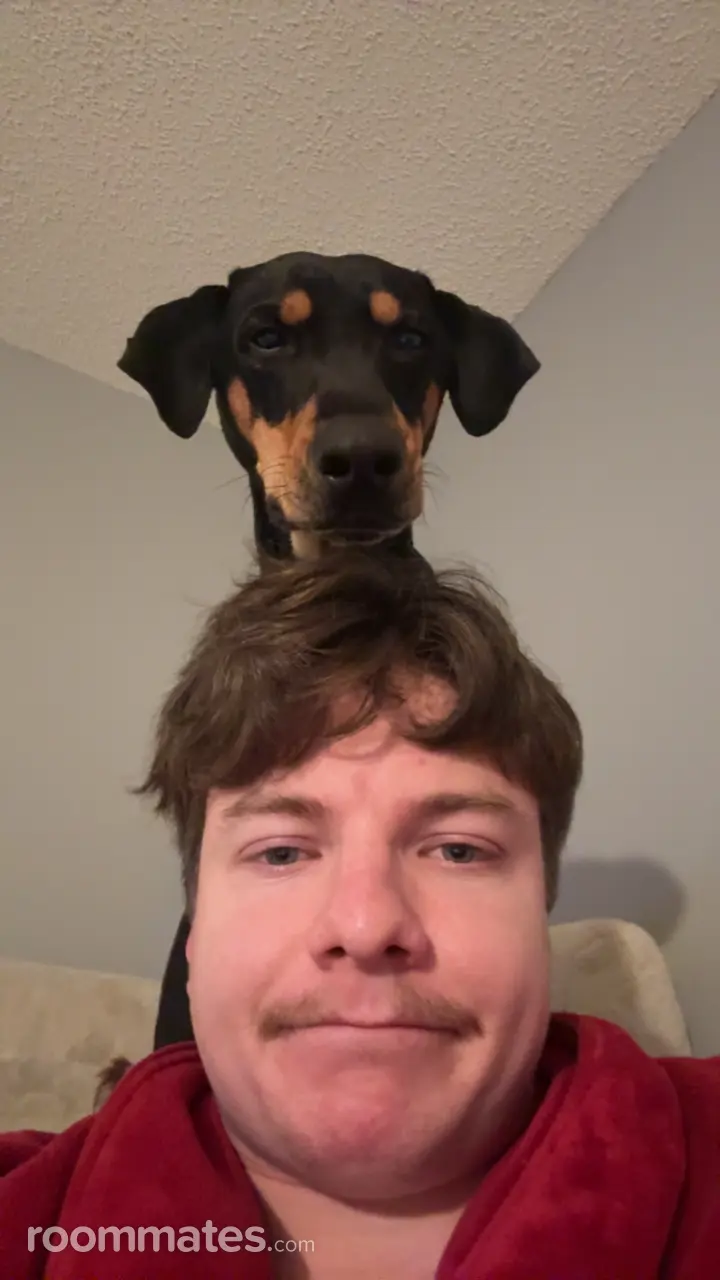 Profile photo 13 of 13