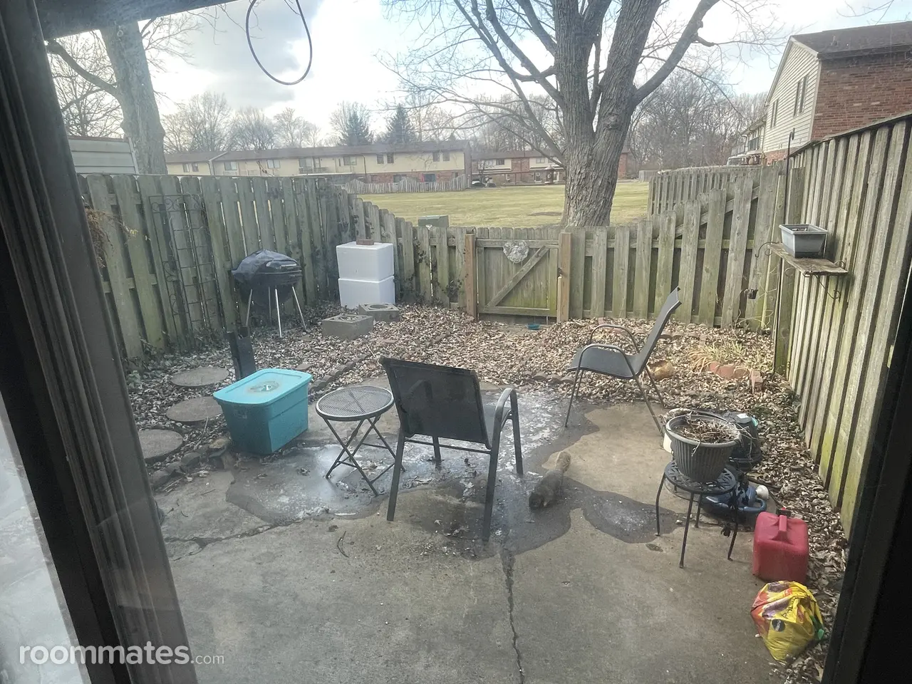 Profile photo 2 of 8