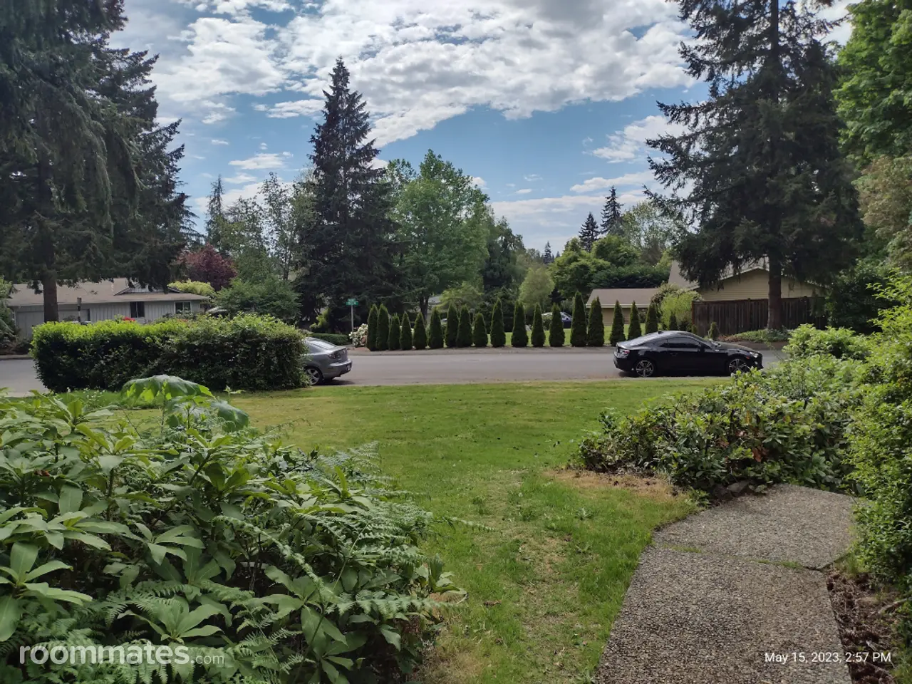 Profile photo 8 of 9