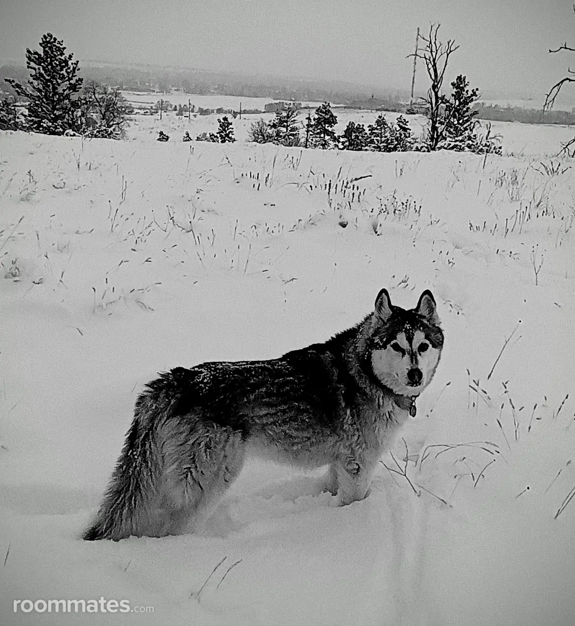 Profile photo 2 of 2